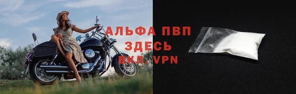 стаф Бежецк