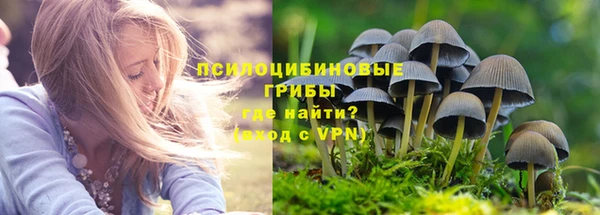 мяу мяу кристалл Няндома