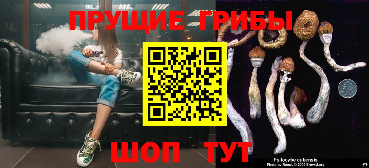 Псилоцибиновые грибы GOLDEN TEACHER  Псилоцибиновые грибы мицелий  Коркино 